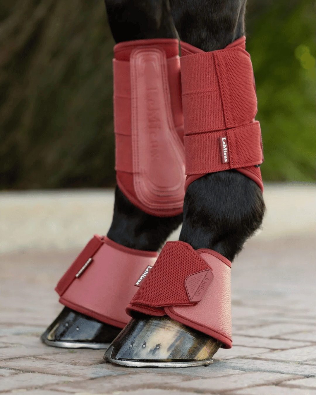 LeMieux Horse Boots