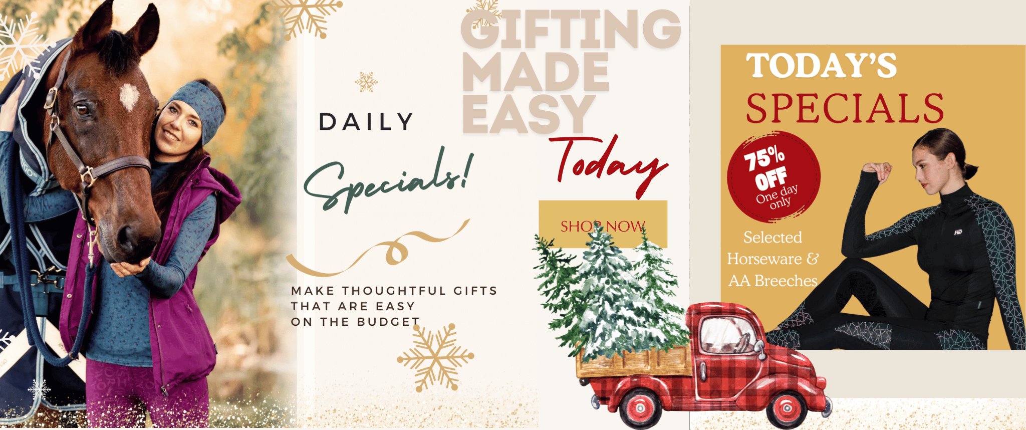 Fast Ship from Horseware