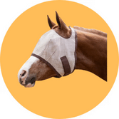 Fast Ship Fly Sheets, Veils & Masks