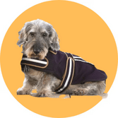 Fast Ship Dog Supplies