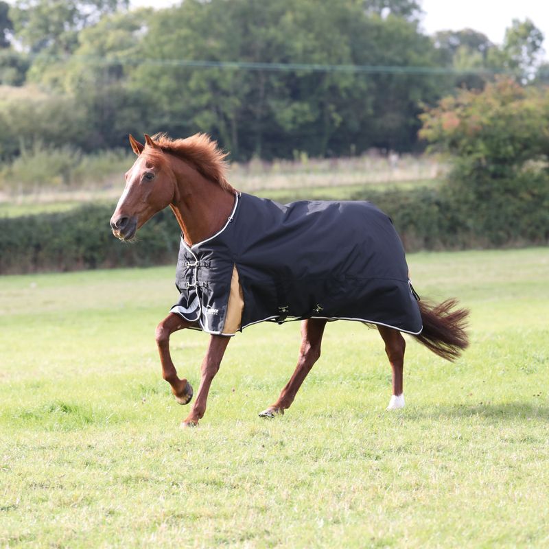 Shires Highlander Plus 200g Turnout on a chestnut horse trotting in a field