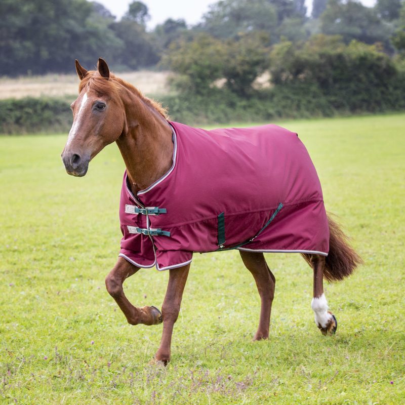 Shires Highlander Plus 100G Standard Neck Turnout - Maroon