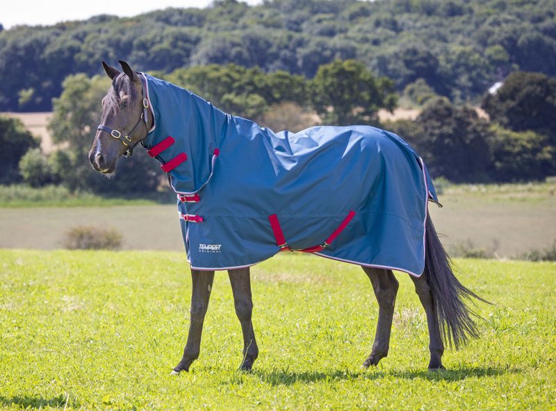 Shires Tempest Original Lite Combo - Teal