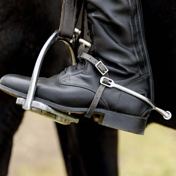 Whips, Crops & Spurs