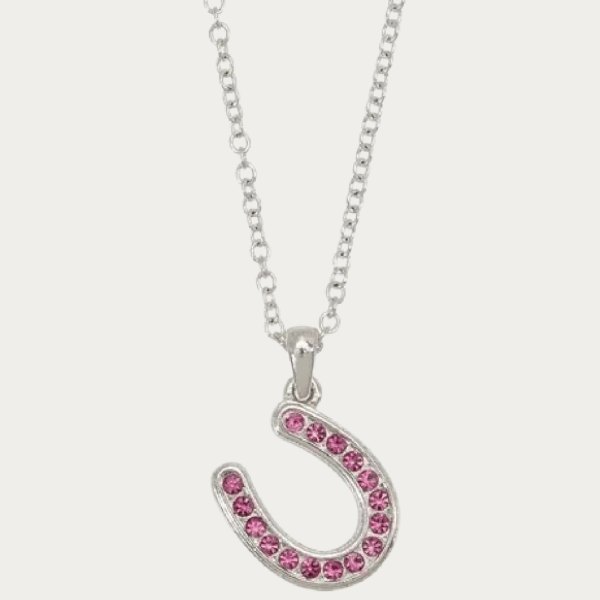 Horseshoe jewelry