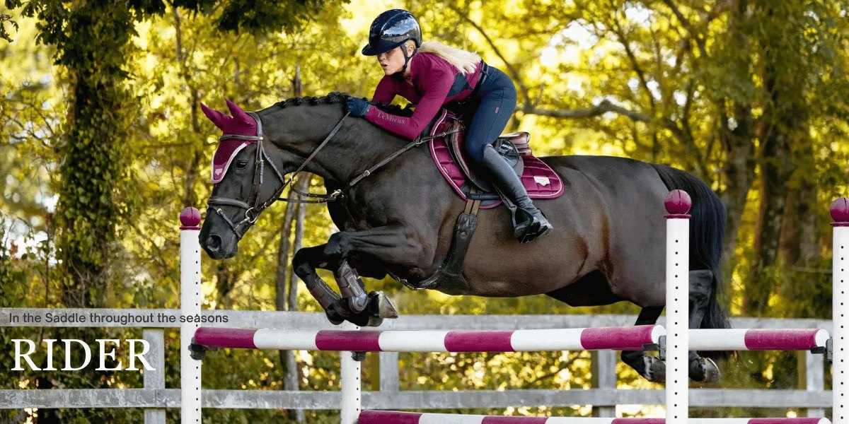In the saddle throughout the seasons: a rider jumping her horse over a rail in the autumn woods