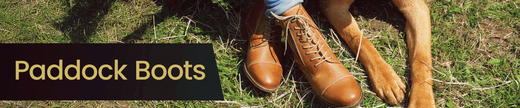 Tredstep Paddock Boots