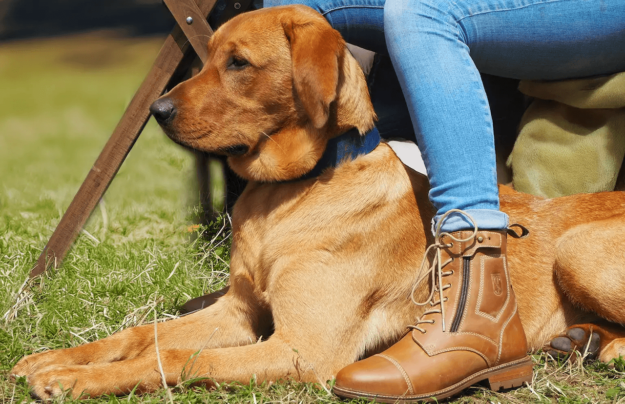 Tredstep Paddock Boots
