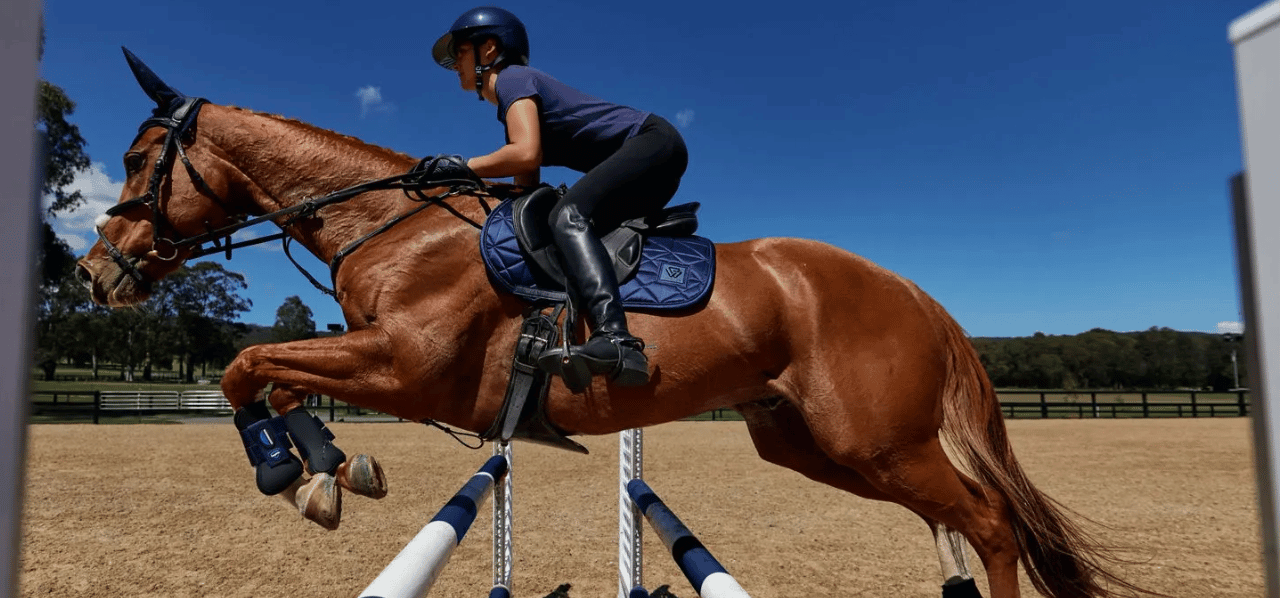 Weatherbeeta Saddle Pads
