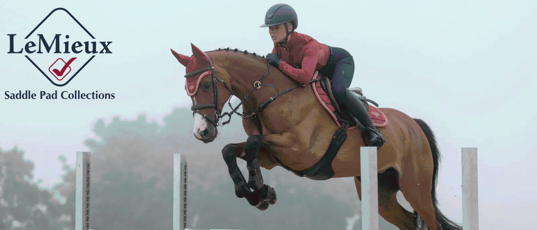 LeMieux Saddle Pads