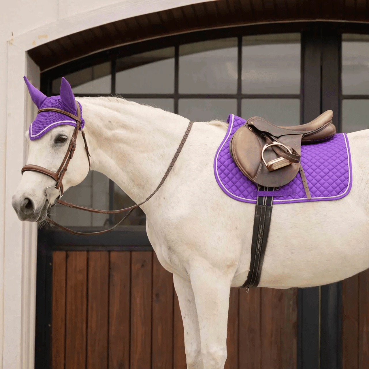 Equinavia Voss AP Saddle Pad Bonnet Set