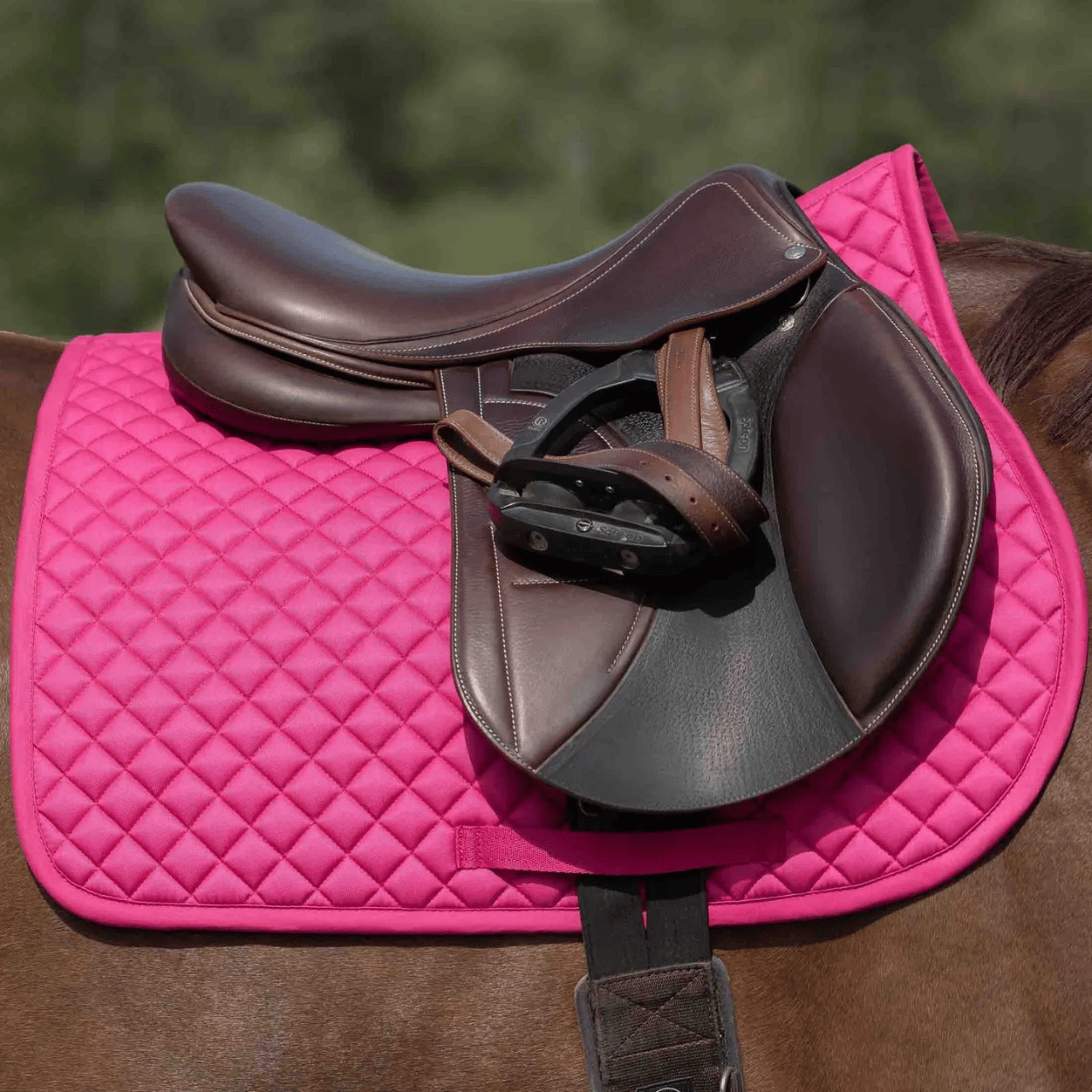 Equinavia Pink Flambe Saddle Pads