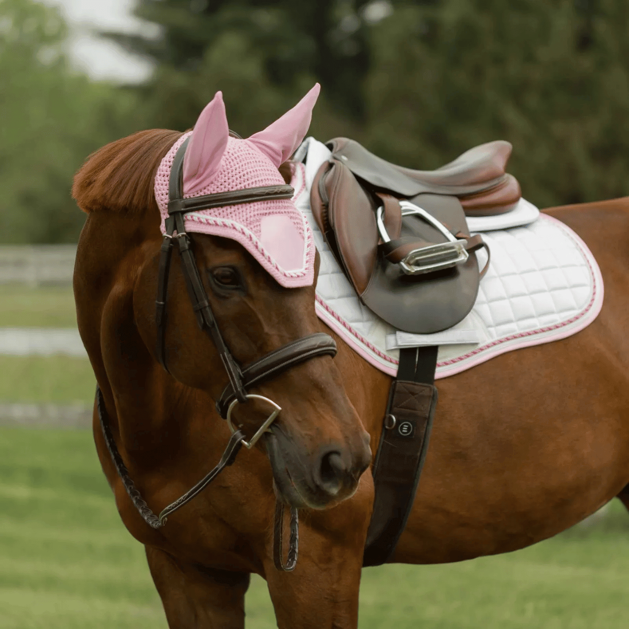 Equinavia Copenhagen Stay Put AP Saddle Pad