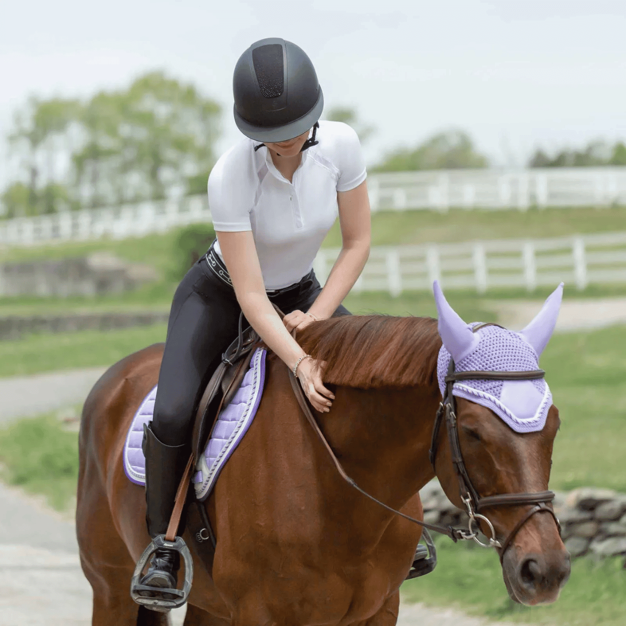Equinavia Saddle Pads