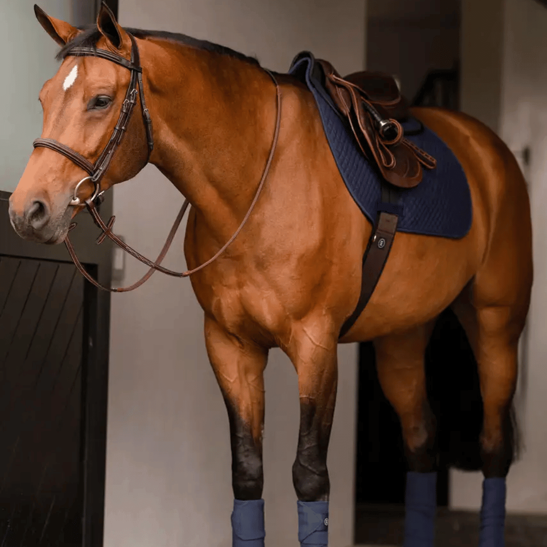 EquiFit Saddle Pads