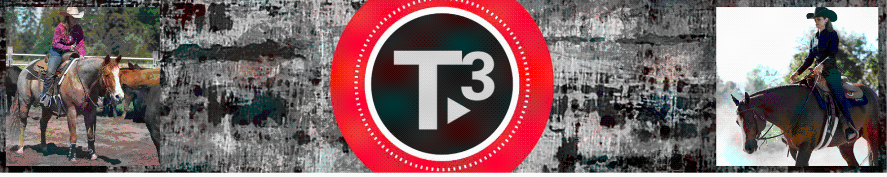 T3 Western Pads by Toklat