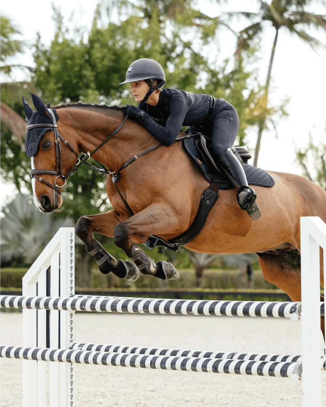 LeMieux Close Contact Saddle Pads