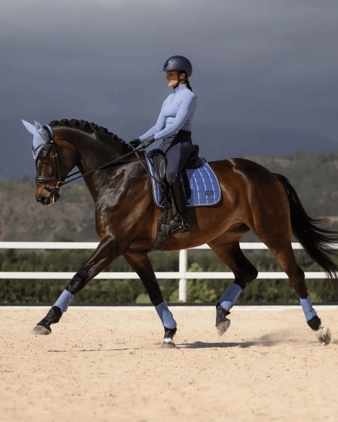 LeMieux Dressage Saddle Pads