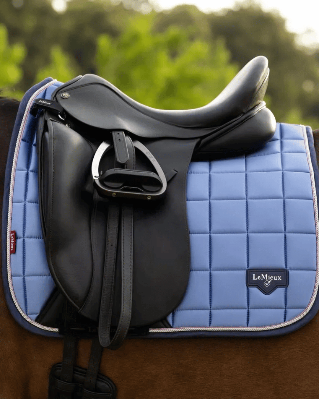 LeMieux Dressage Saddle Pads