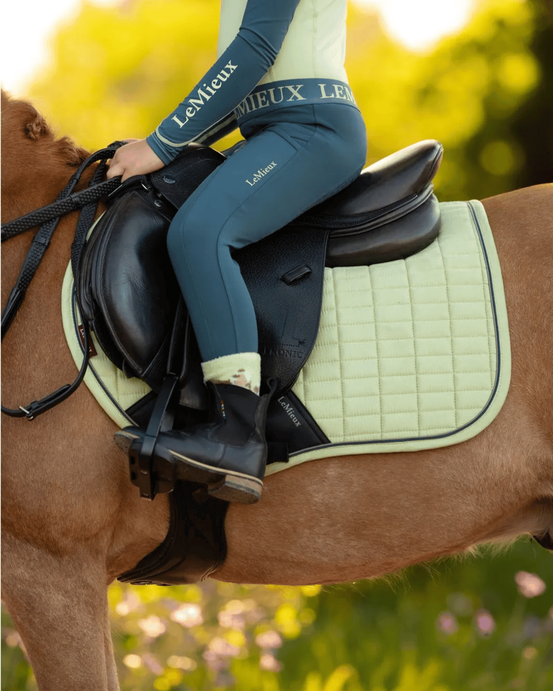 LeMieux Mini Saddle Pads