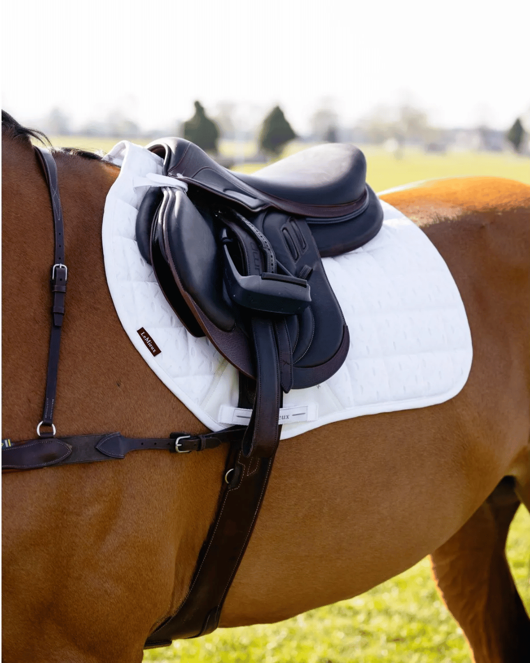 Self-Cool Saddle Pads