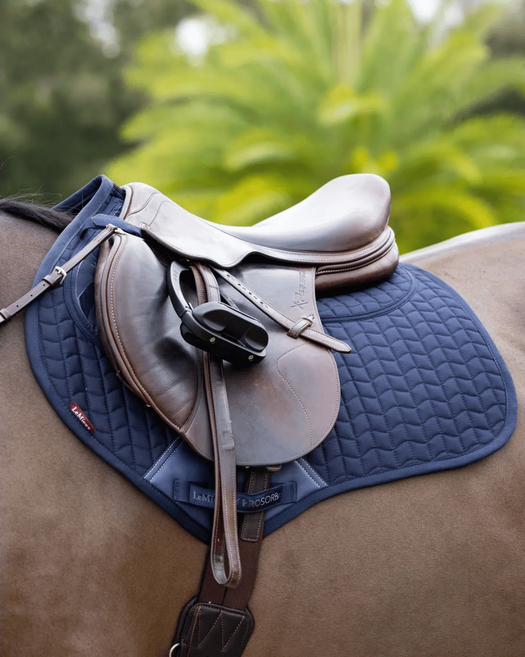 Corrective Saddle Pads