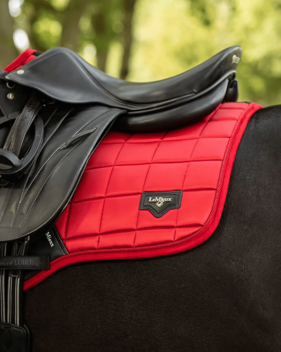 Loire Saddle Pads
