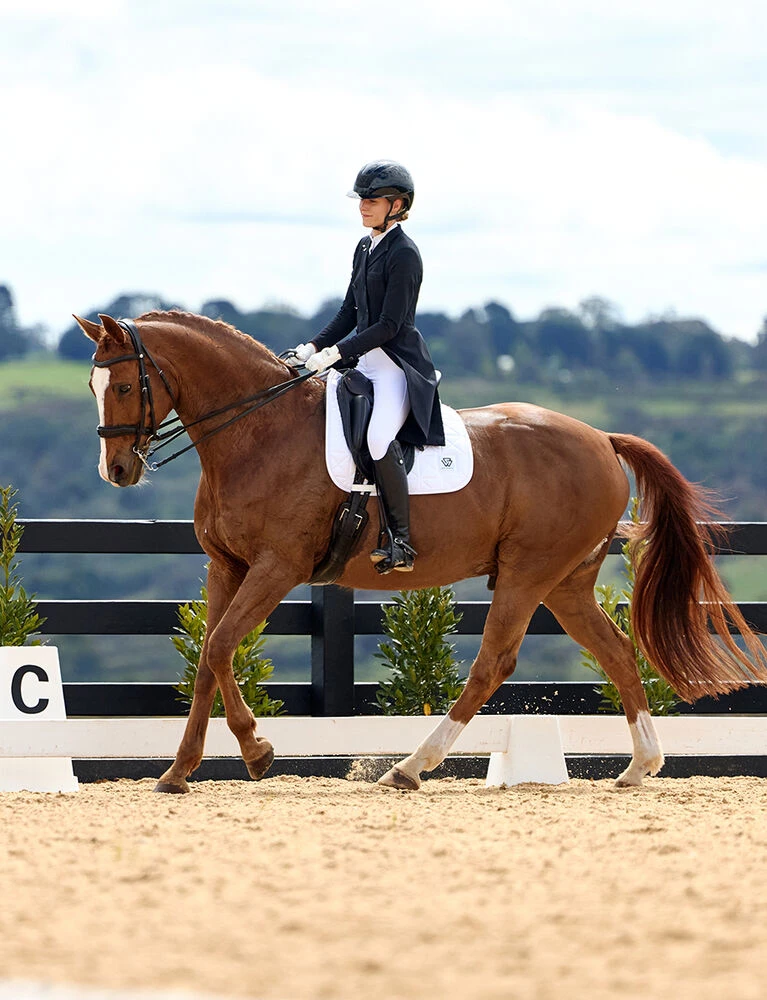 Weatherbeeta Dressage Saddle Pads Weatherbeeta Dressage Saddle Pads