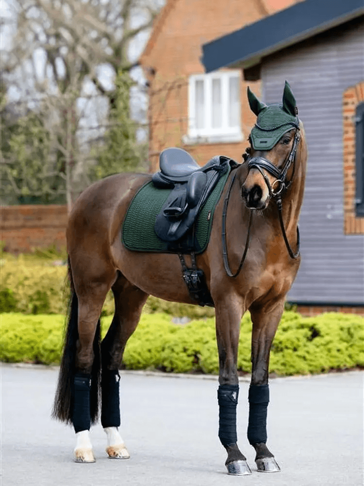 Shop for Saddle Pads
