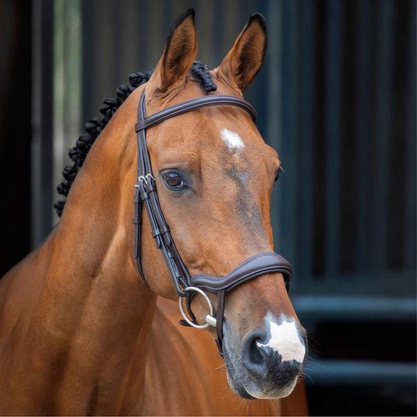 A chestnut horse with a plaited mane in a brown Shires Velociti leather bridle