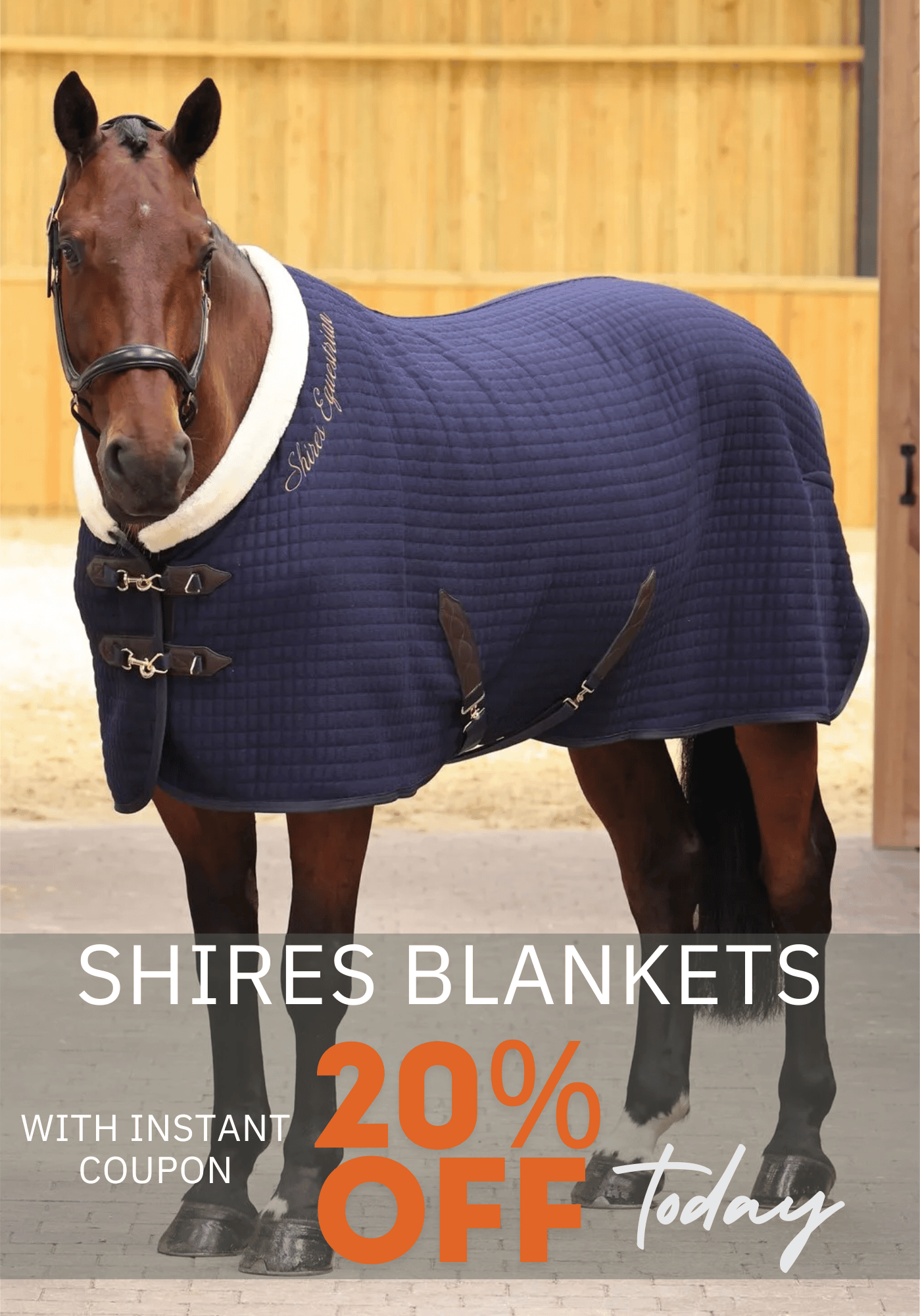 Shires Blankets