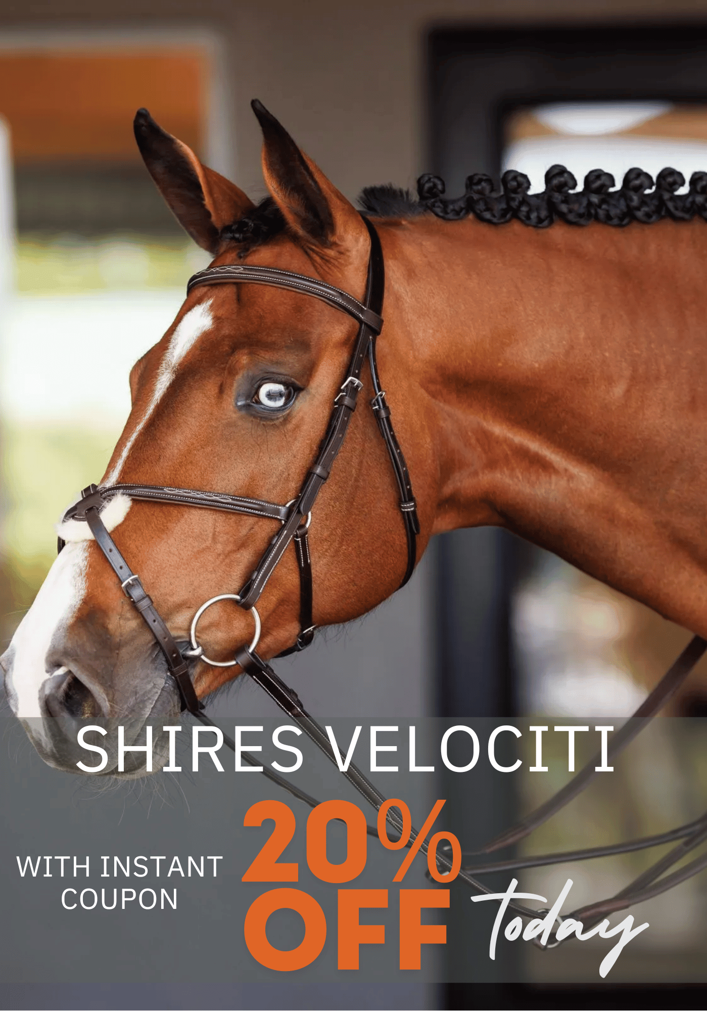 Shires Velociti Tack & Gear