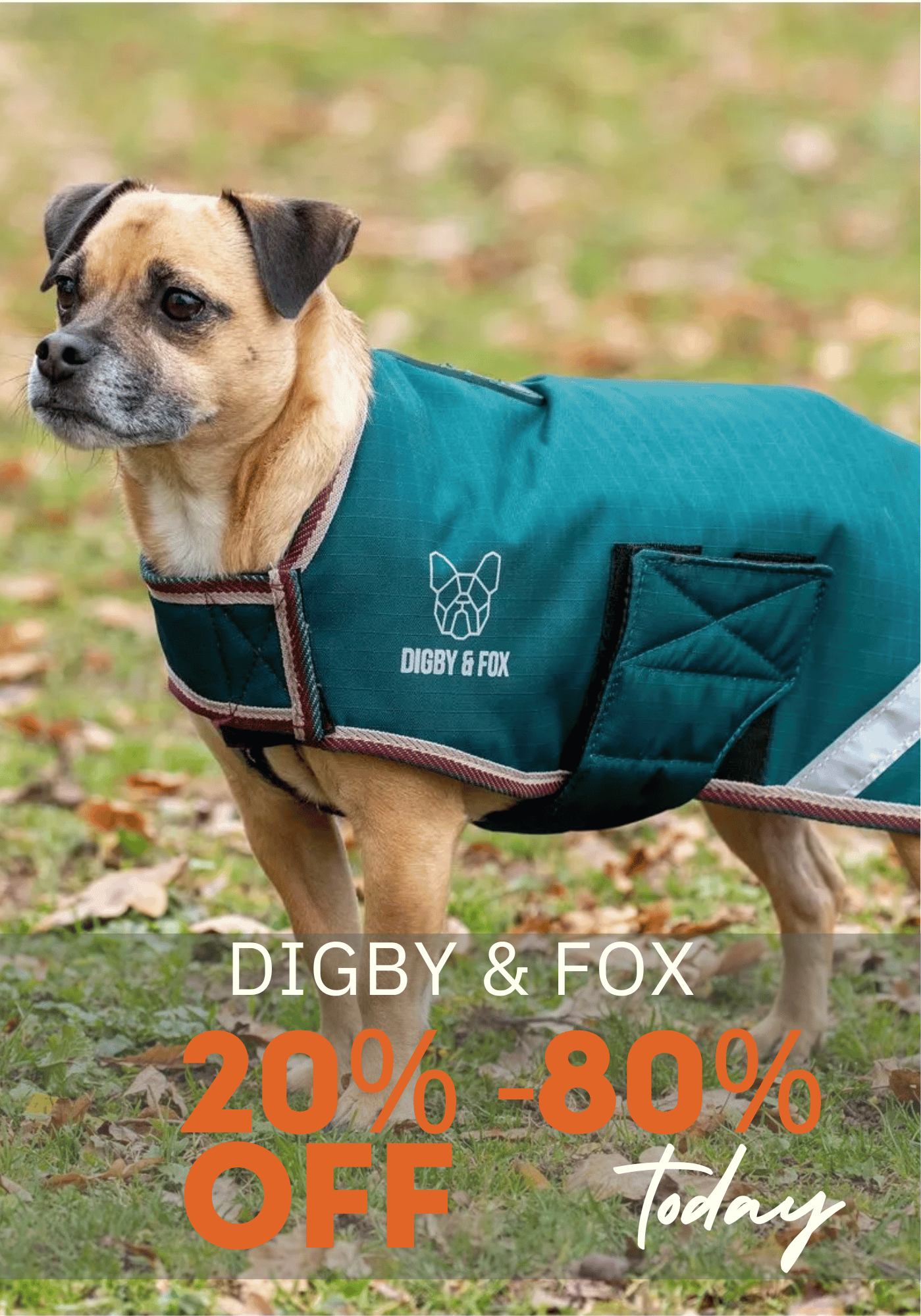Digby & Fox Dog Supplies