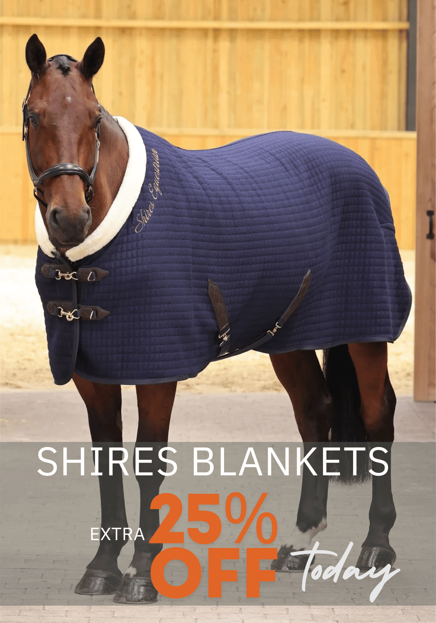 Shires Blankets