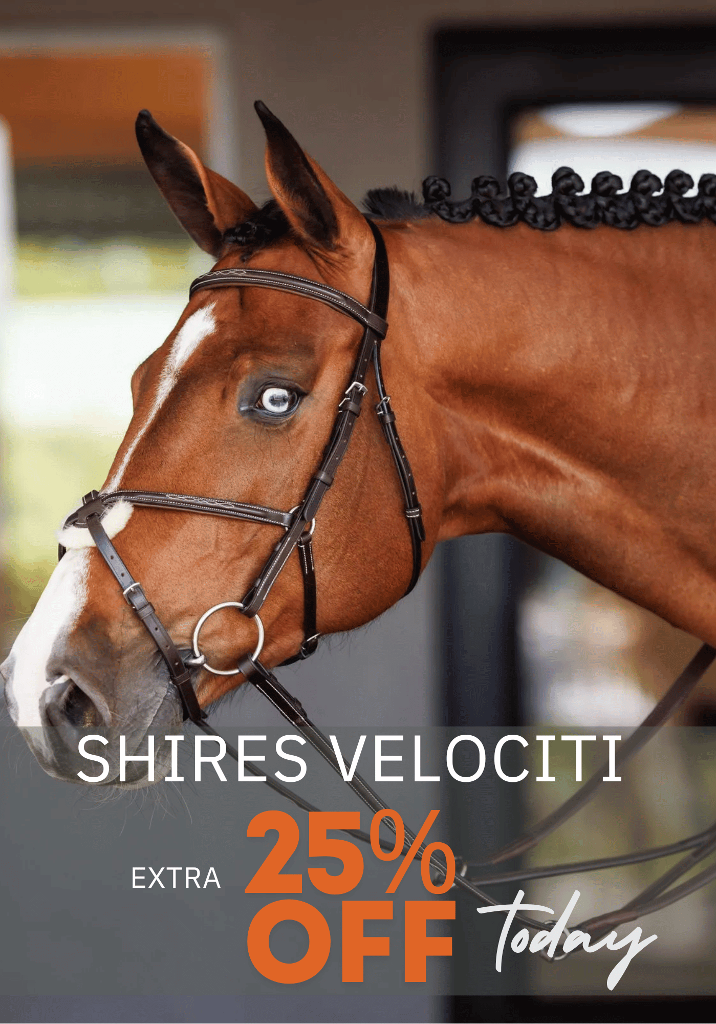 Shires Velociti Tack & Gear