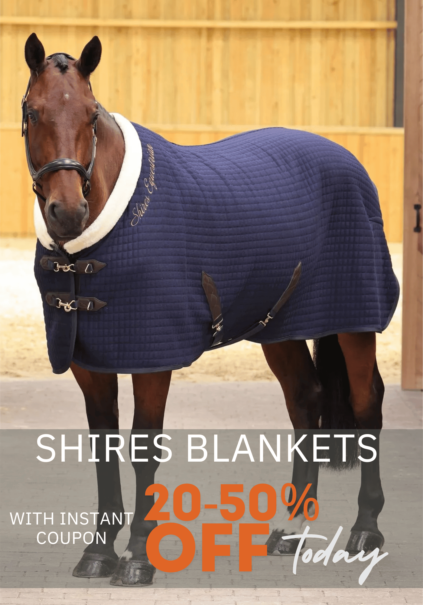 Shires Blankets