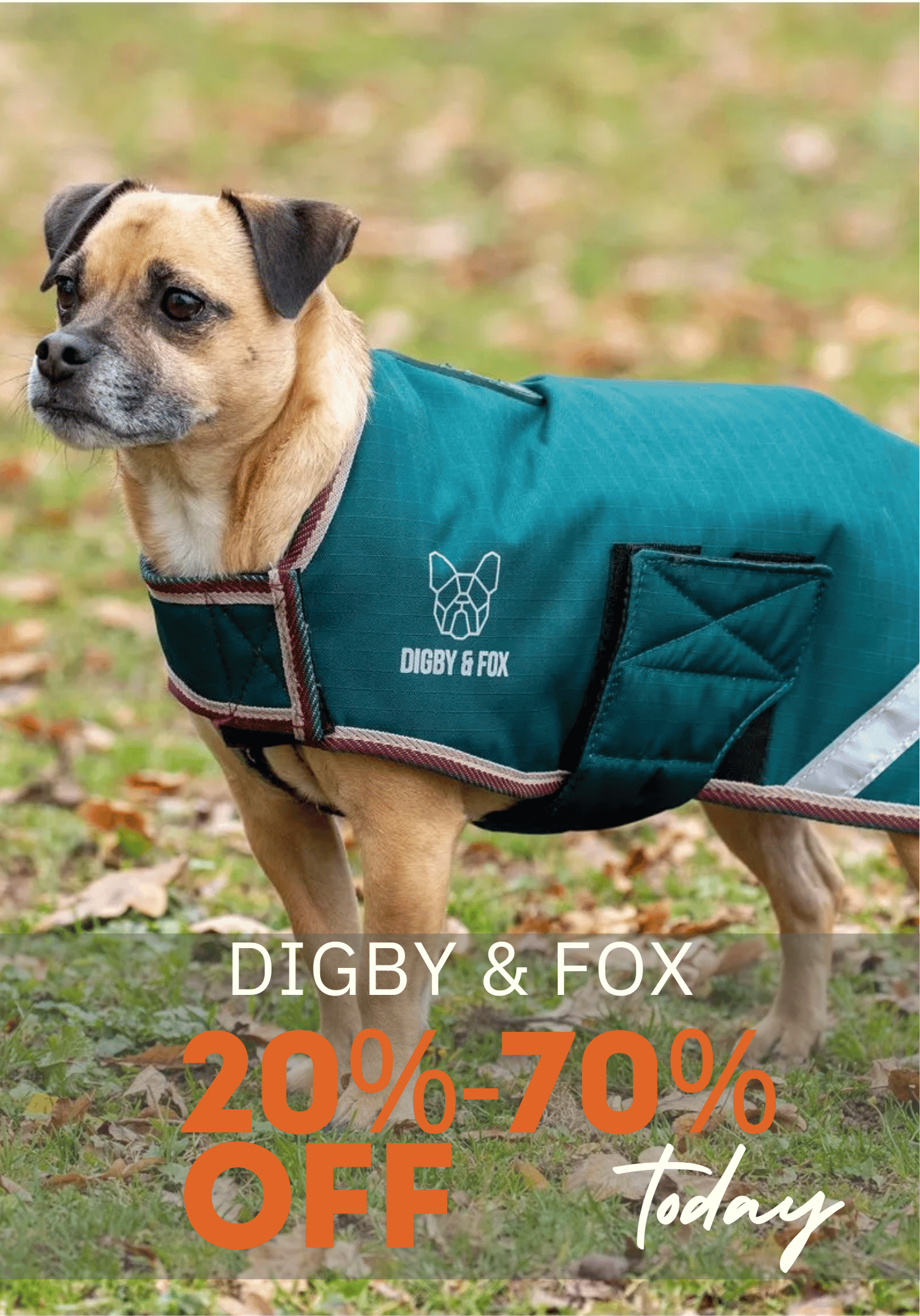 Digby & Fox Dog Supplies