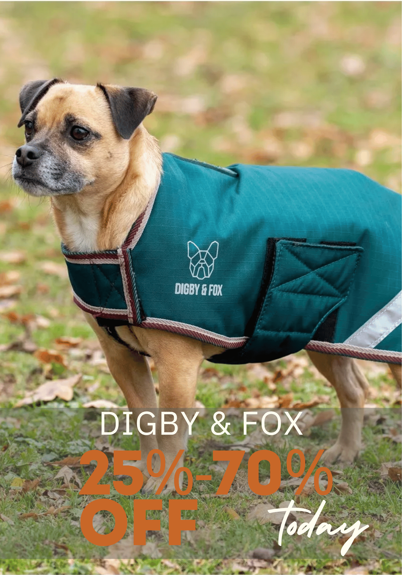 Digby & Fox Dog Supplies