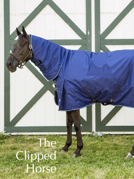 Shop for Clipped Horses or Ponies