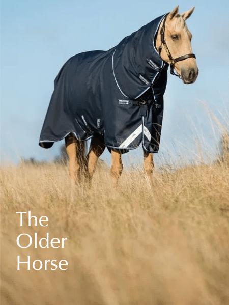 Shop for the Older Horse that Feels the Cold