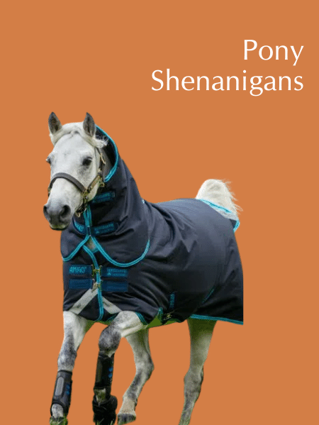 https://www.tackoftheday.com/horse-clothing/pony%20blanket?_q=pony%20blanket&fuzzy=0&initialMap=ft&initialQuery=pony%20blanket&map=category-2,ft&operator=and&order=OrderByTopSaleDESC