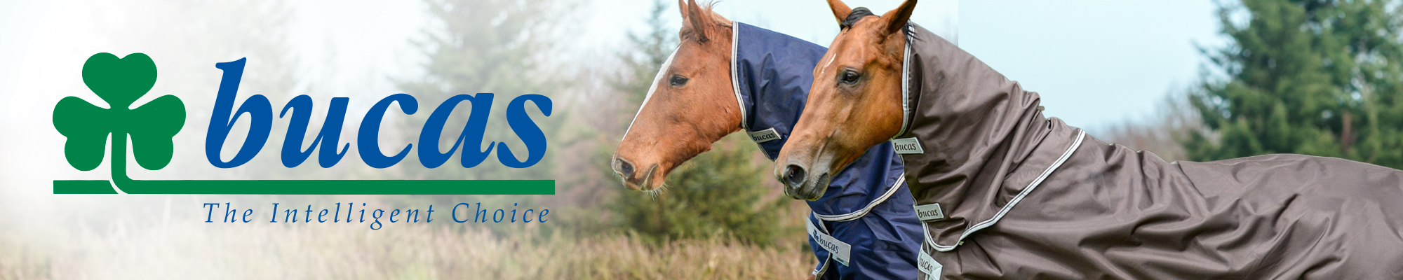 Bucas Horse Blankets & Fly Protection
