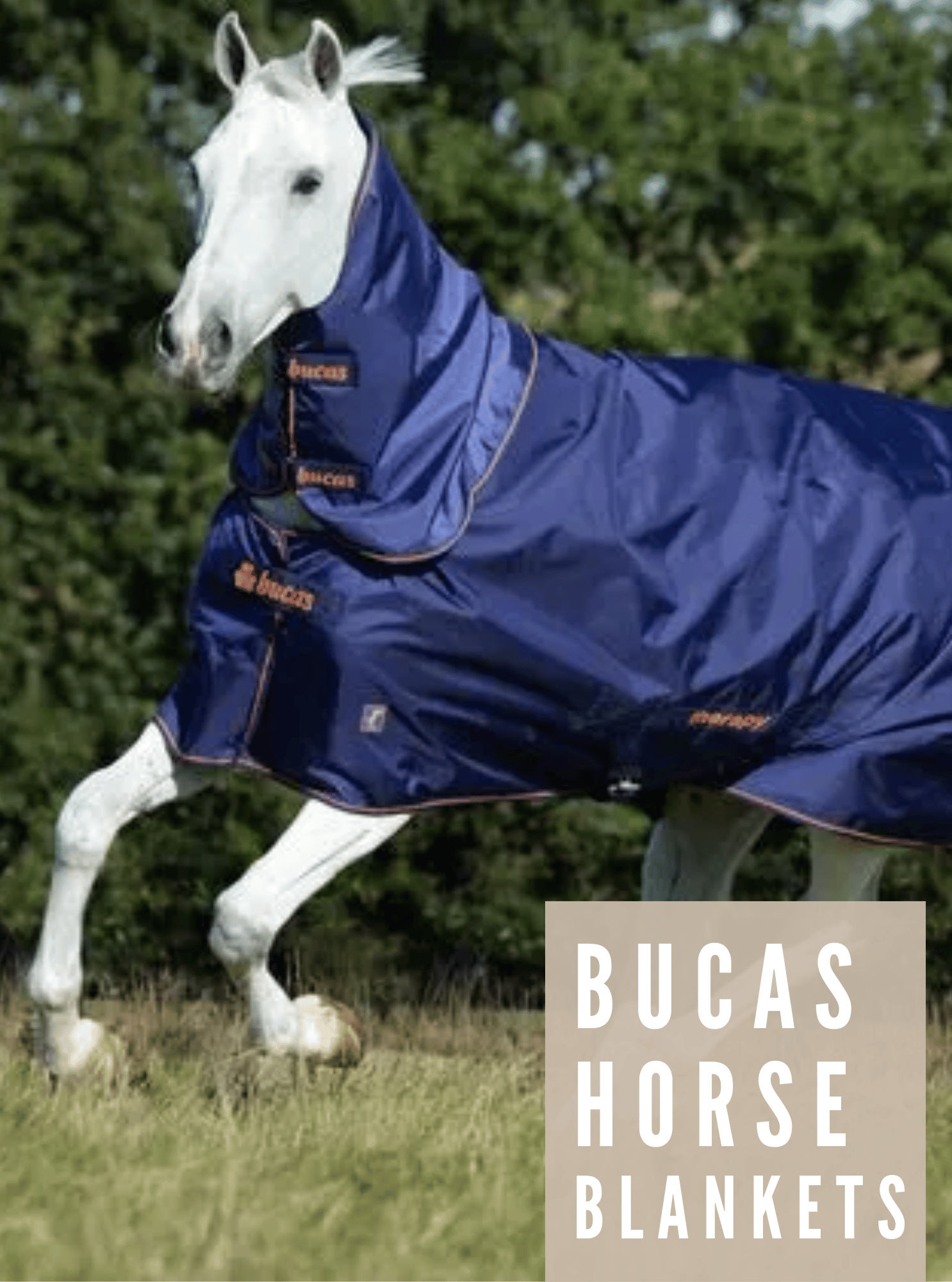 Bucas Horse Blankets