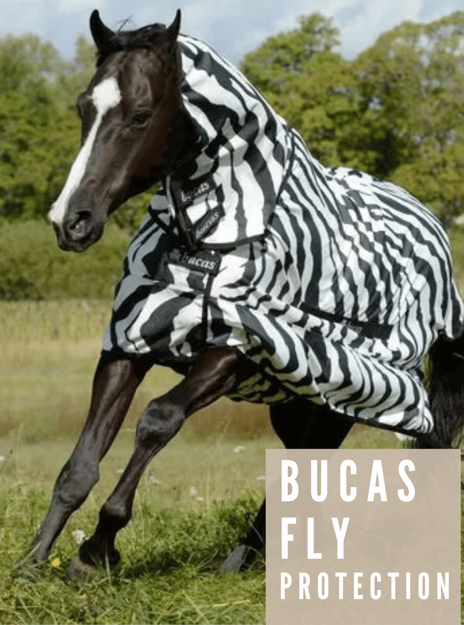 Bucas Fly Protection