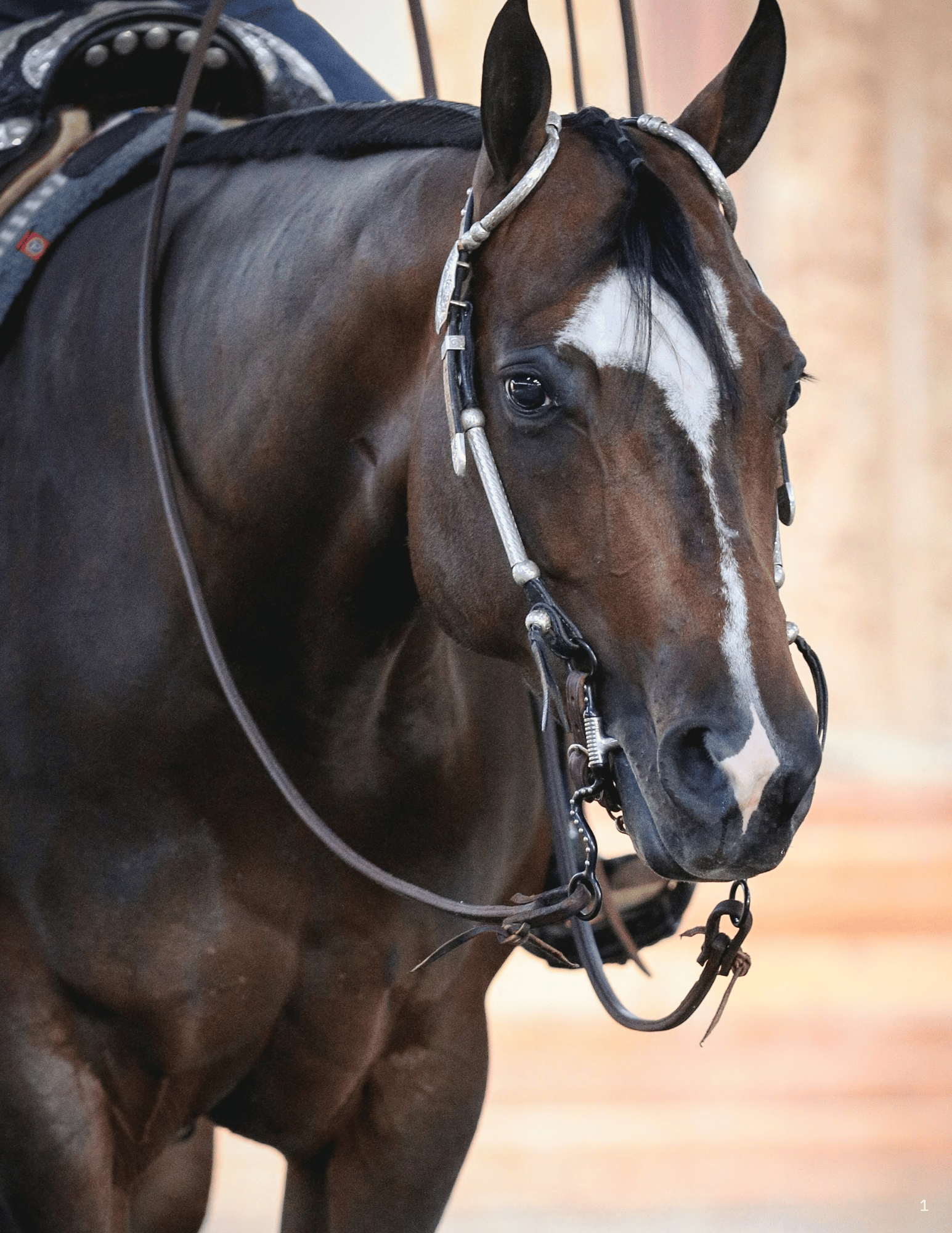 Western Bits by Myler