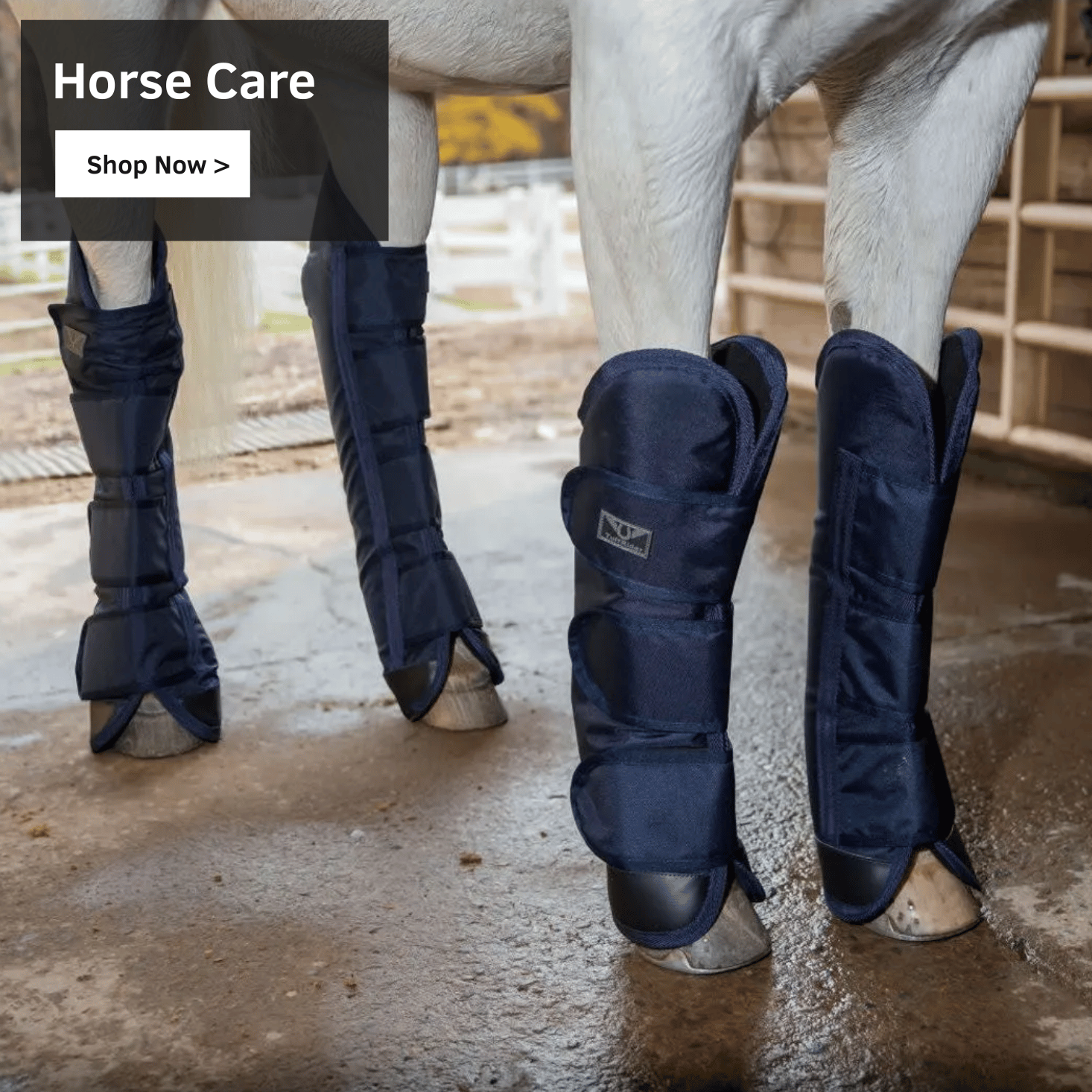 Horse Care