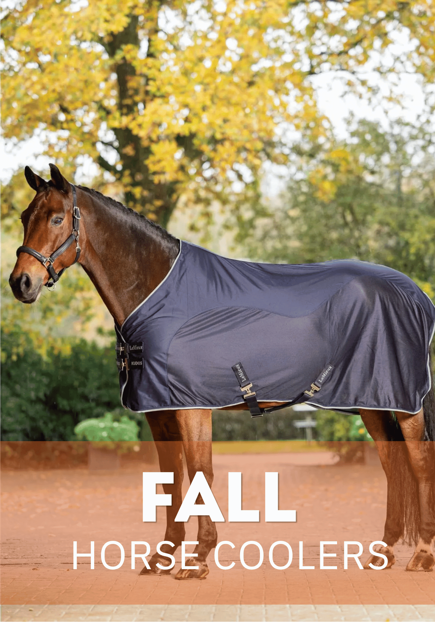 Shop Fall Coolers