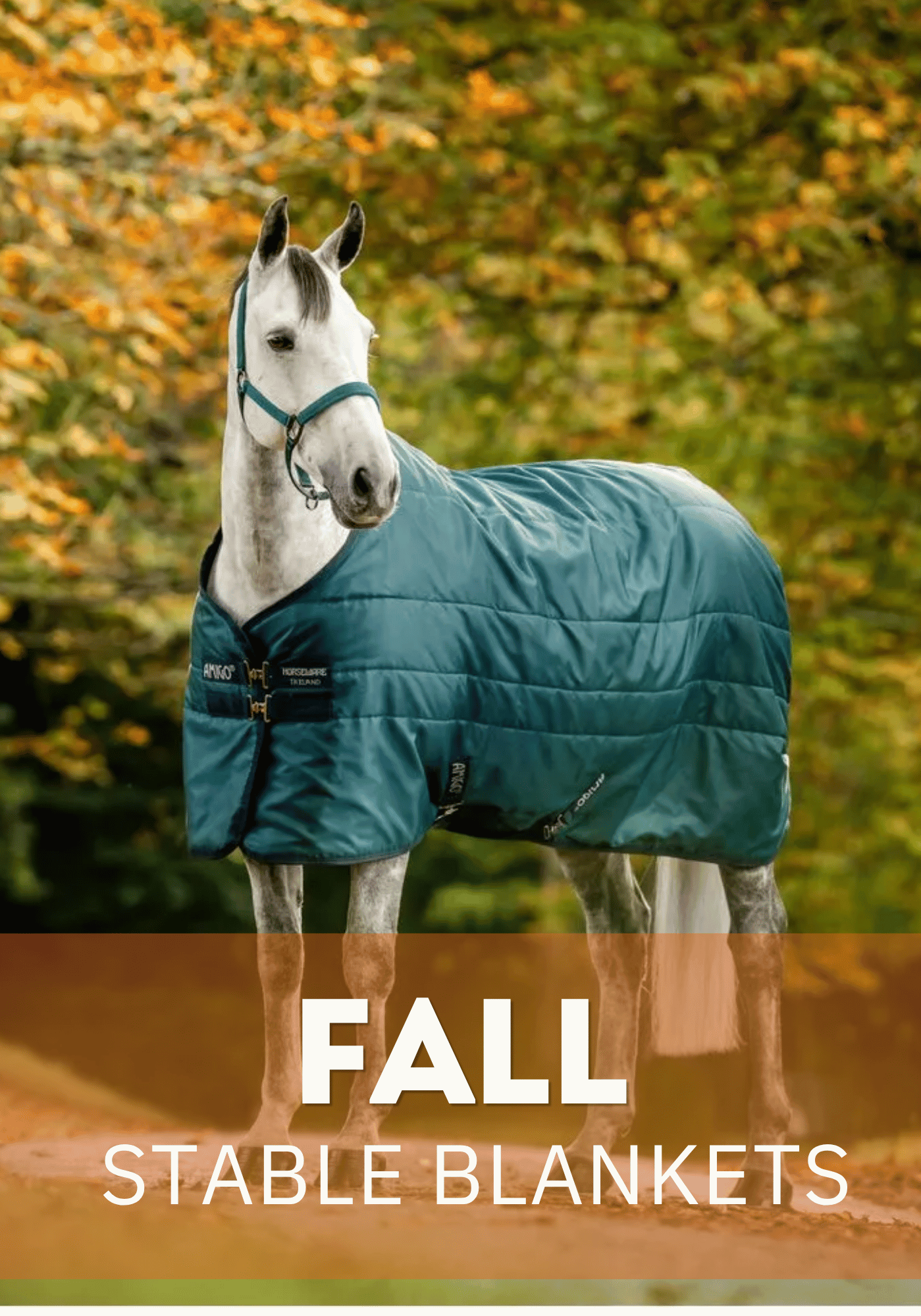 Fall Stable Blankets