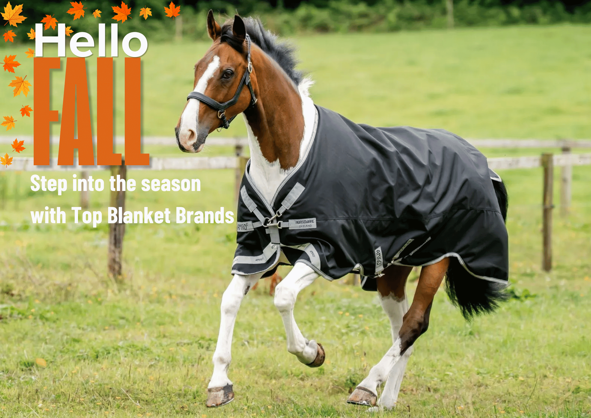 Shop for Lightweight Turnouts for Fall