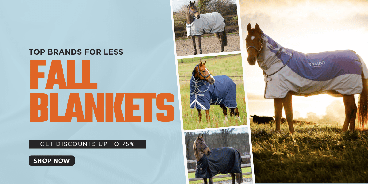 Shop Lightweight Blankets for Fall
